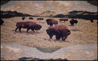 Buffalo Valley Grassland (0410) Western Upholstery Fabric